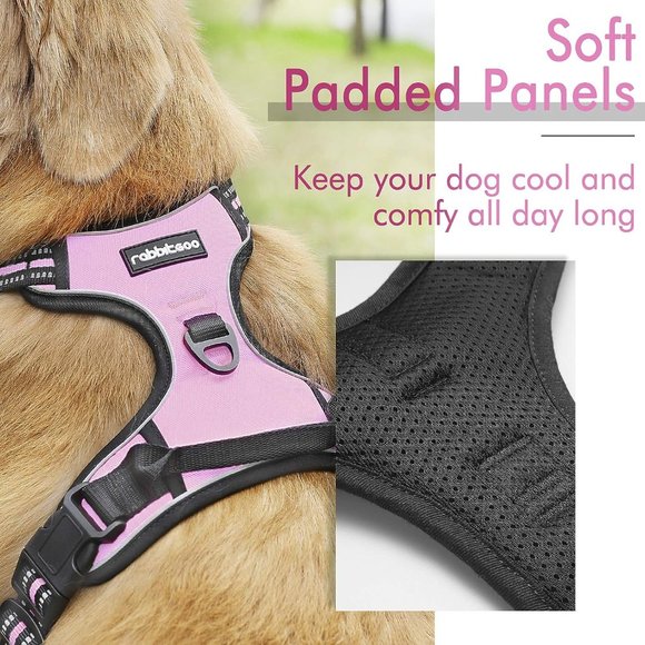 Rabbitgoo Dog Harness, No-Pull Pet Harness with 2 Leash Clips - Picture 2 of 8